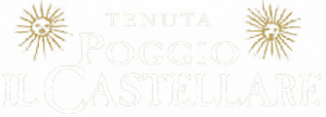 Poggio il Castellare